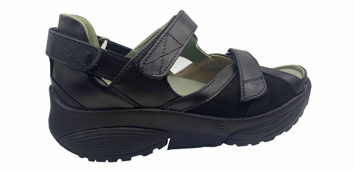 ストレッチウォーカー Xsensible Pluto 38 ワインパール のさか