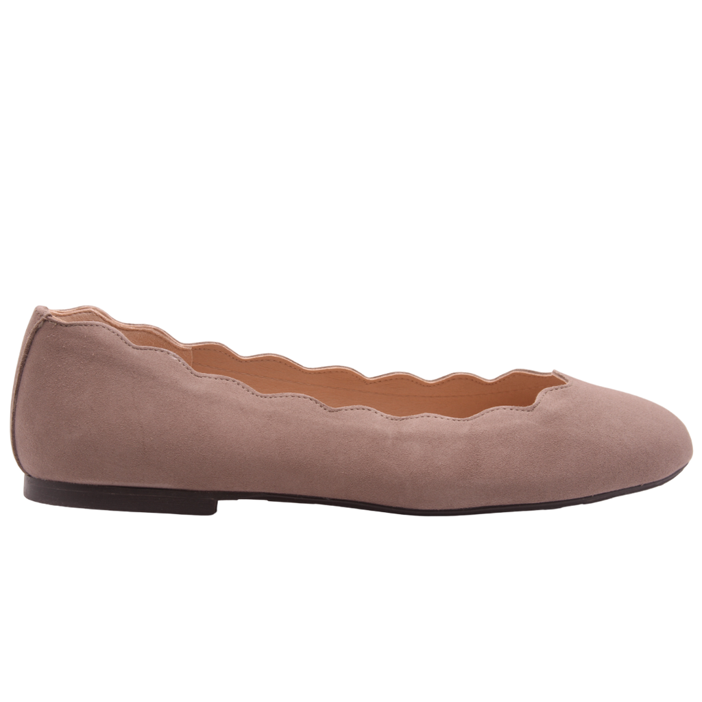 Jigsaw - Taupe Suede