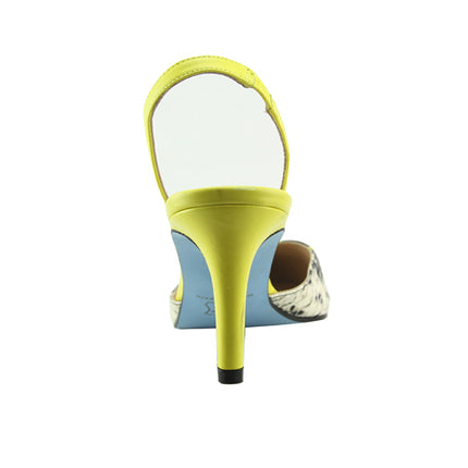 Serpent - Yellow Snake