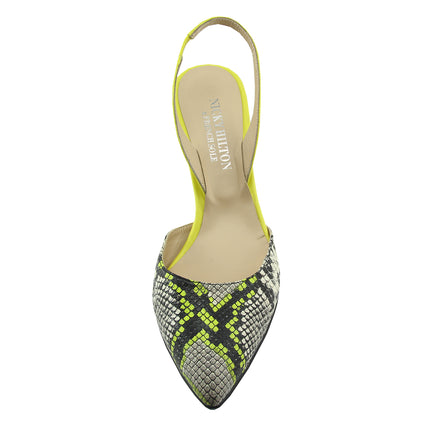 Serpent - Yellow Snake