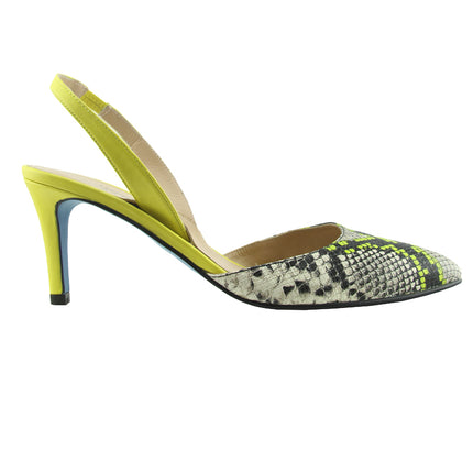 Serpent - Yellow Snake